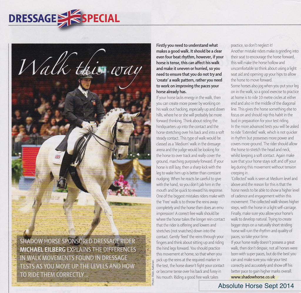 Michael Eilberg explains the different types of walk in Dressage tests