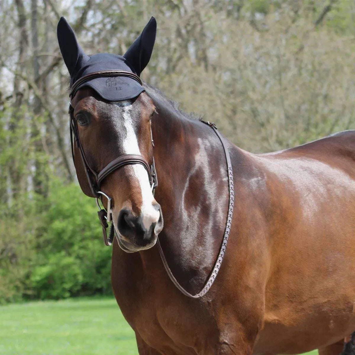 Fenwick LT (Liquid Titanium) ear bonnet with sound reducing ears