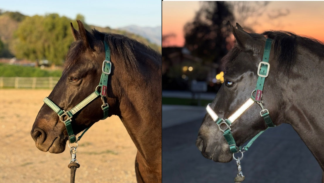 Kensington safety breakaway headcollar with reflective strips