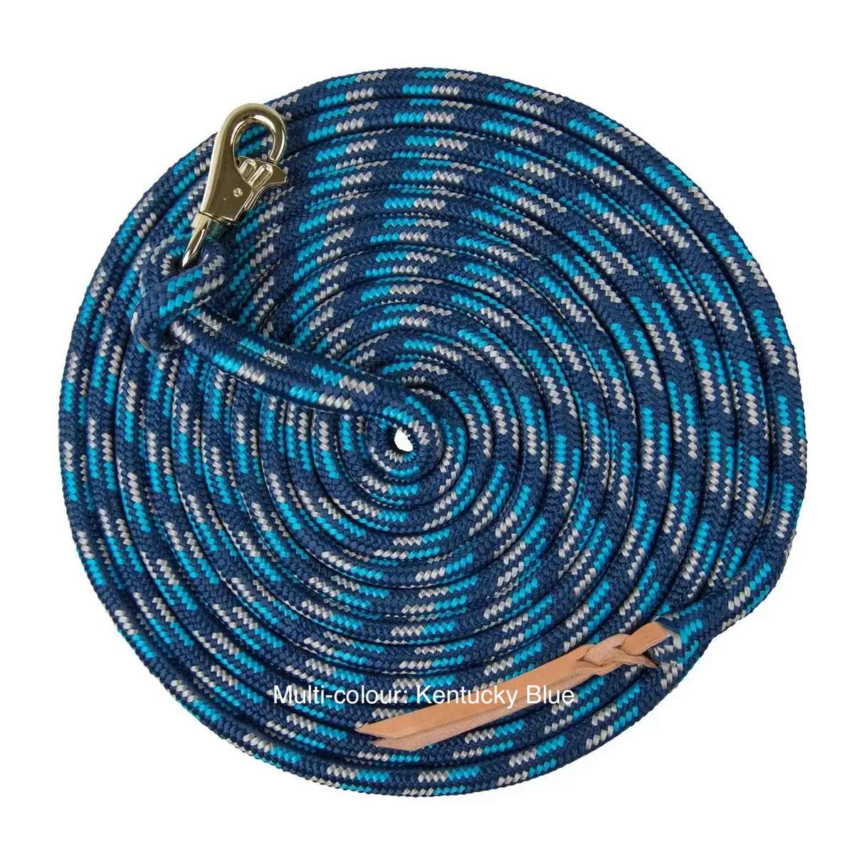 Kensington lead rope - multi-colour Kentucky blue