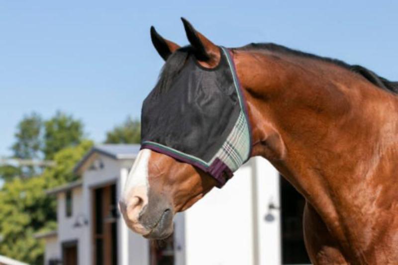 Kensington UViator 90% UV-protective catch fly mask without nose or ears