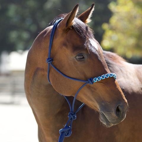 Kensington rope halter