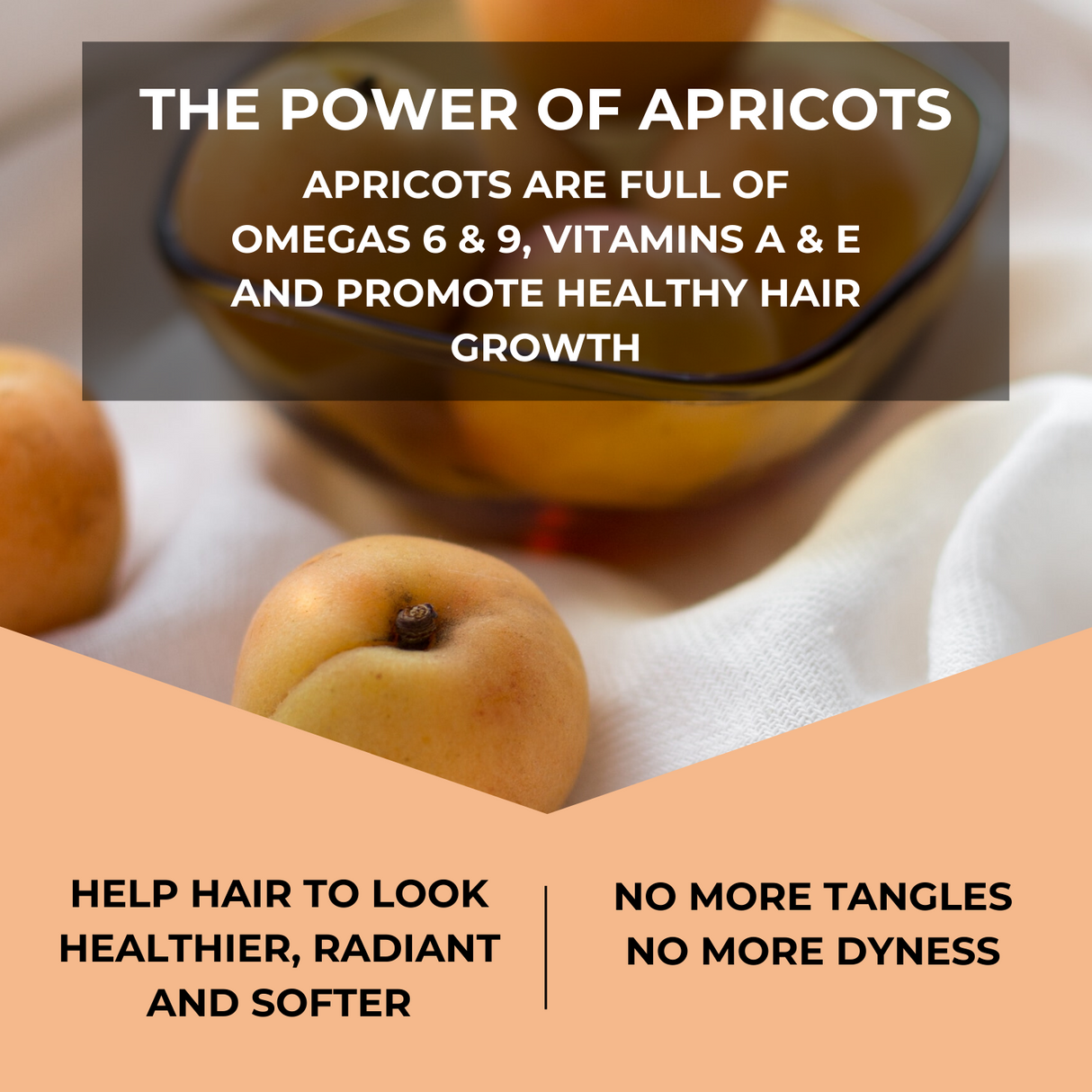 Knotty Horse shampoo: 1 litre