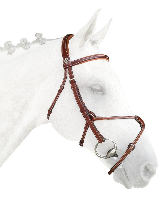 Silver Crown grackle noseband