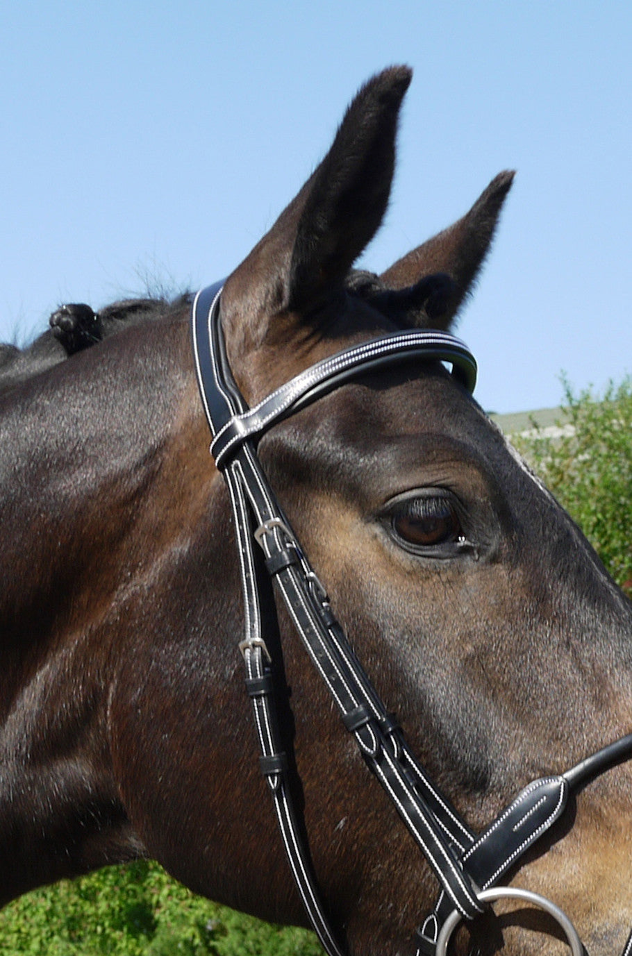 Silver crown Comporta headpiece