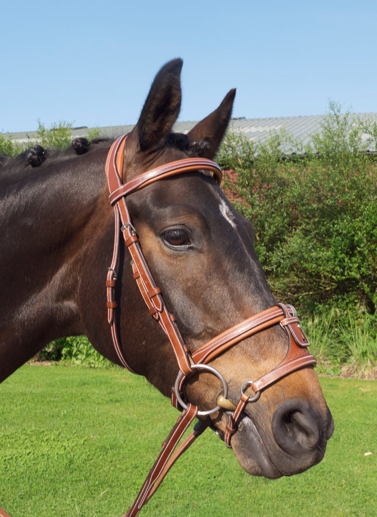 Silver Crown adjustable x-nose noseband in conker