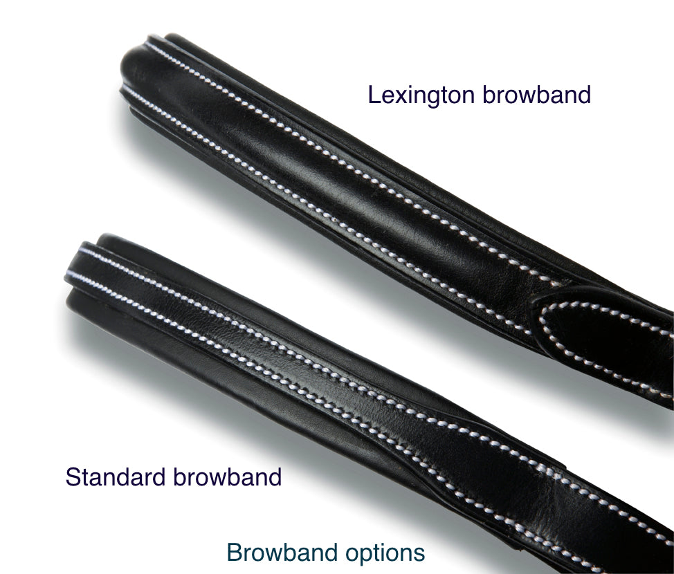 Silver Crown browband options