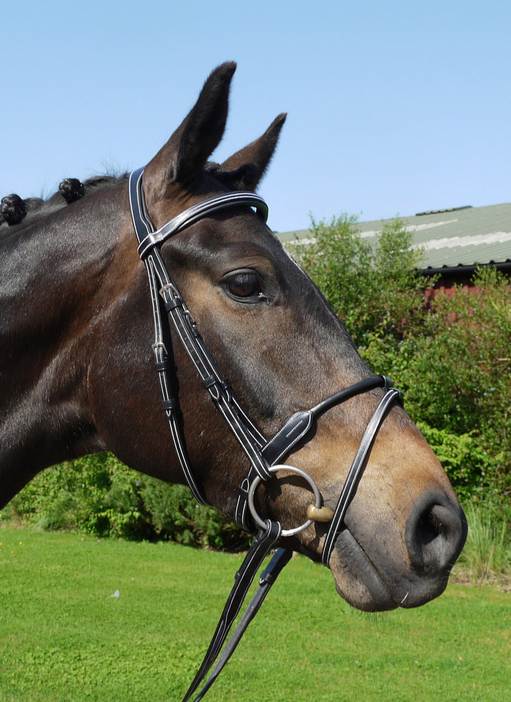 Silver Crown rolled flash noseband