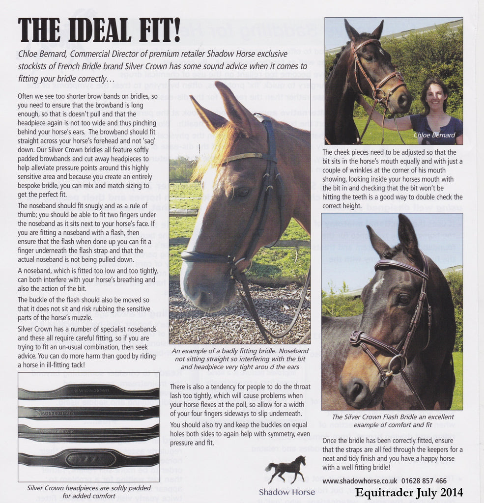 Chloe on achieving the ideal fit for your bridle