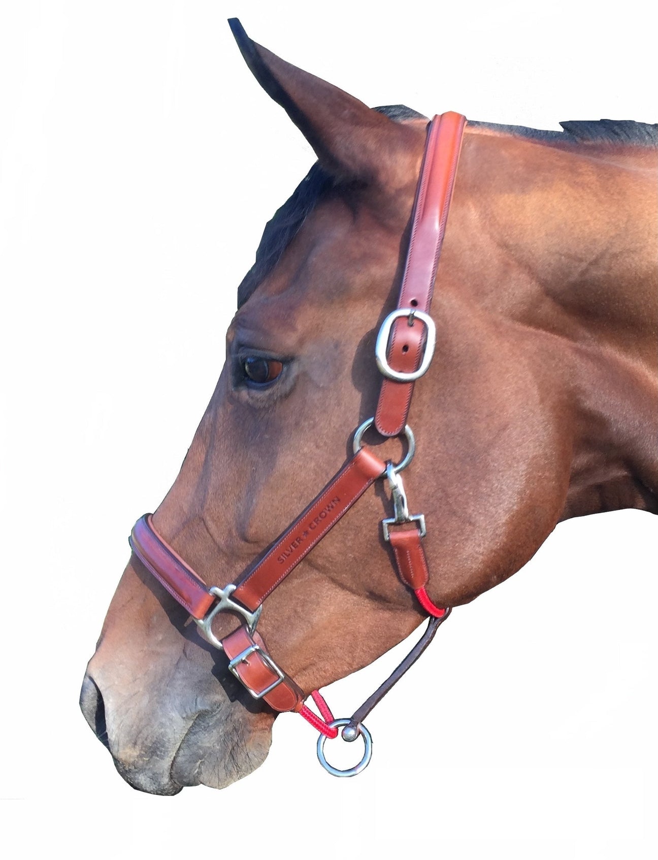 Silver Crown all-leather headcollar 