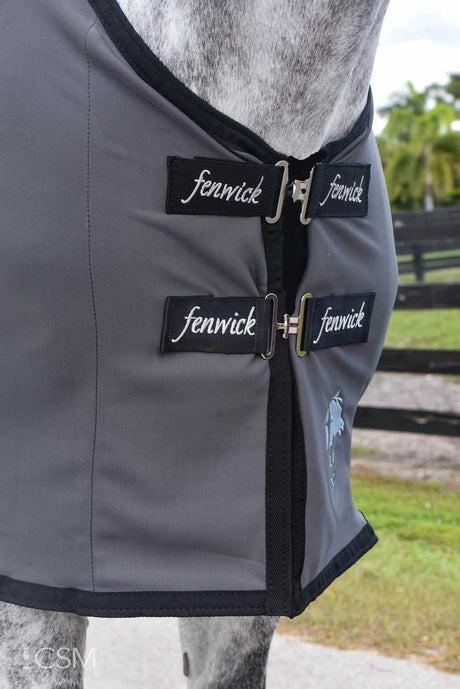 Fenwick LT (Liquid Titanium) therapeutic sheet