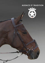 Silver Crown bridle