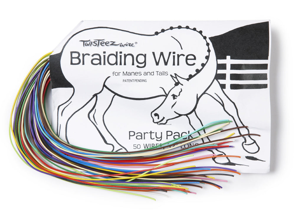 Braideez party pack