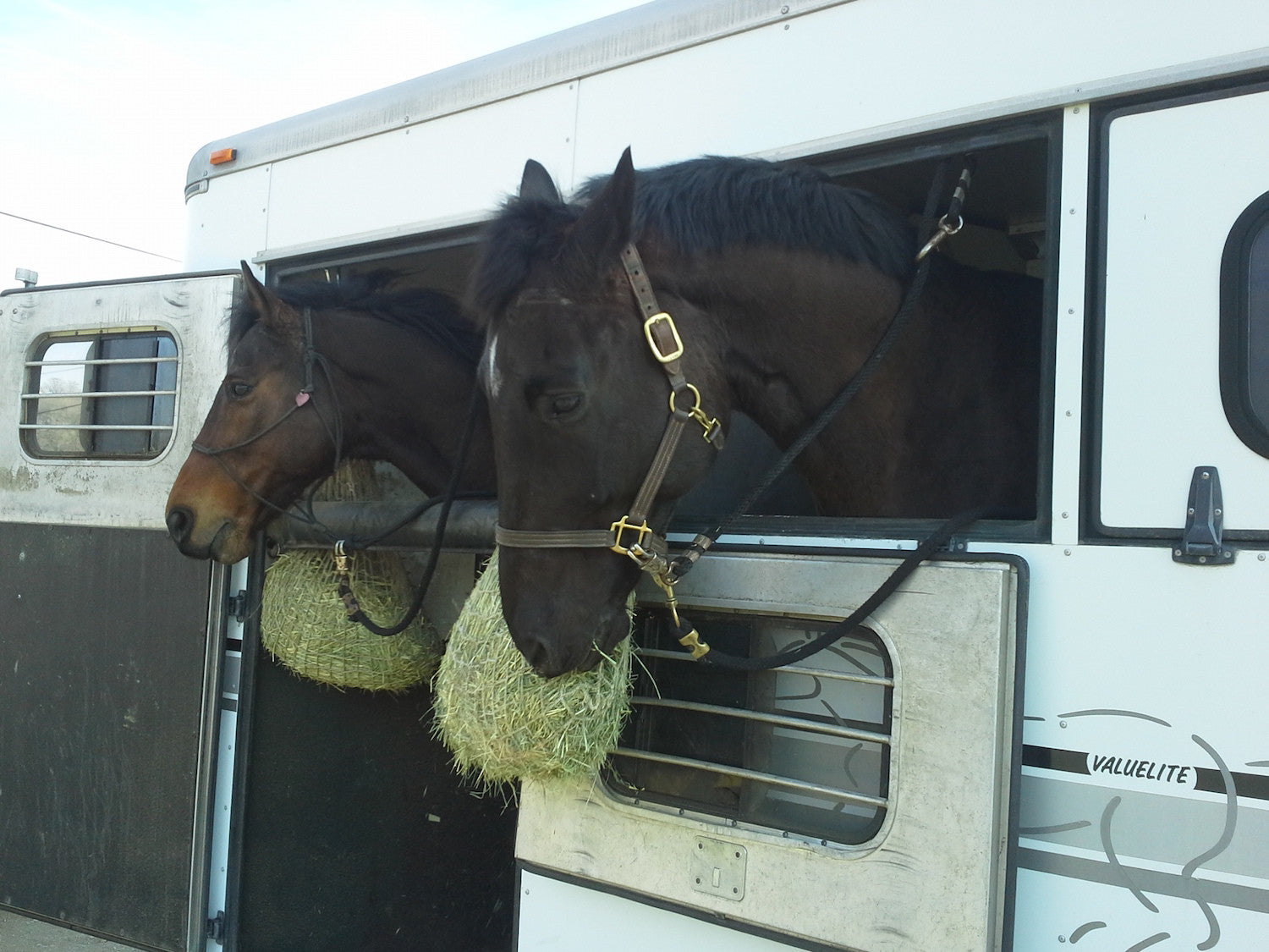 Freedom Feeder day & travel size