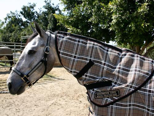 Kensington protective neck cover