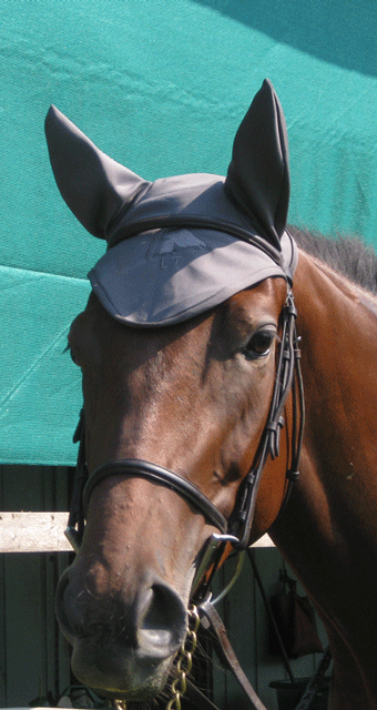 LT ear bonnet