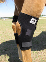 LT hock boots