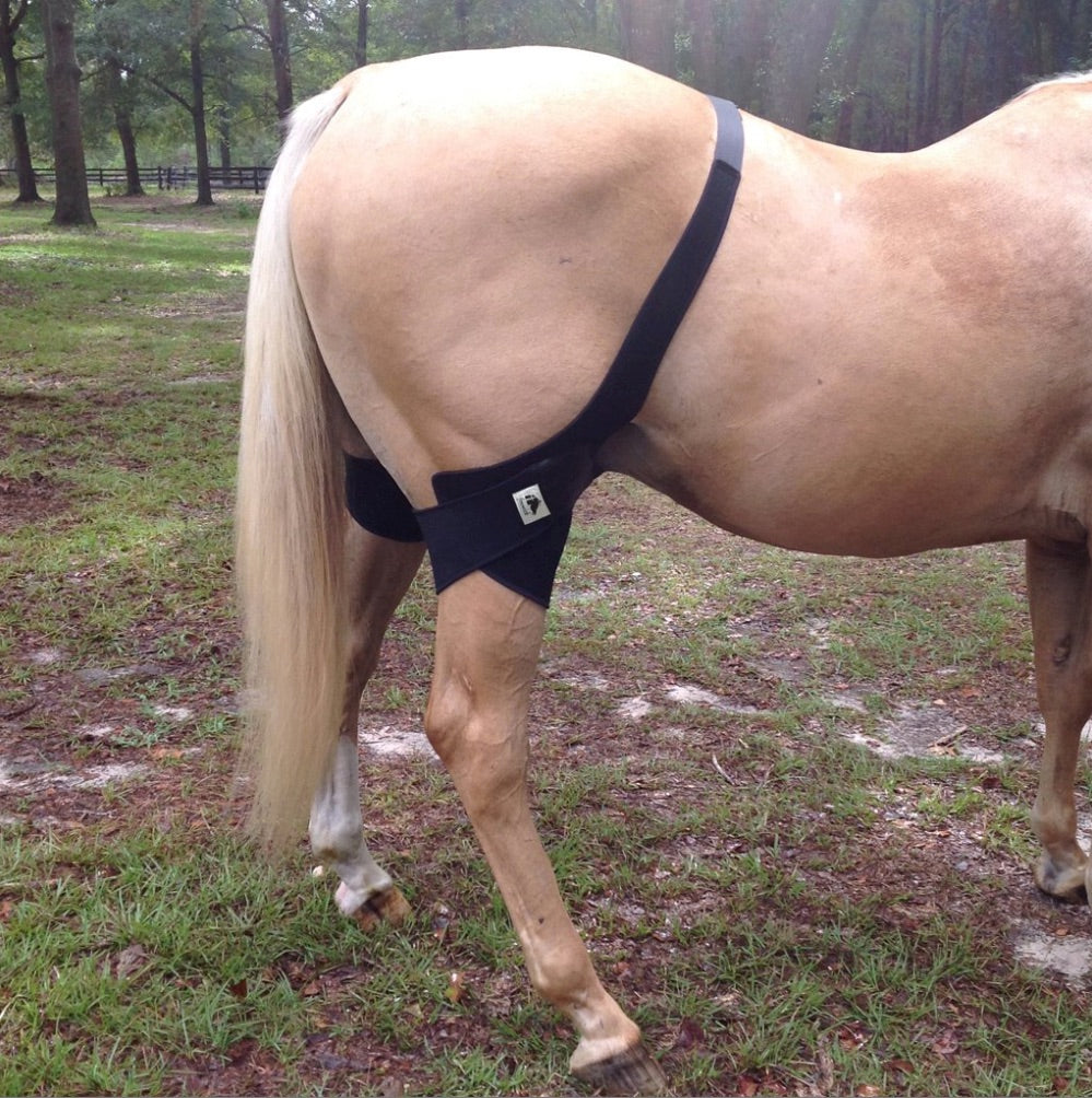 Fenwick LT (Liquid Titanium) stifle wrap