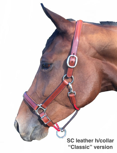 SC leather headcollar "Classic" version