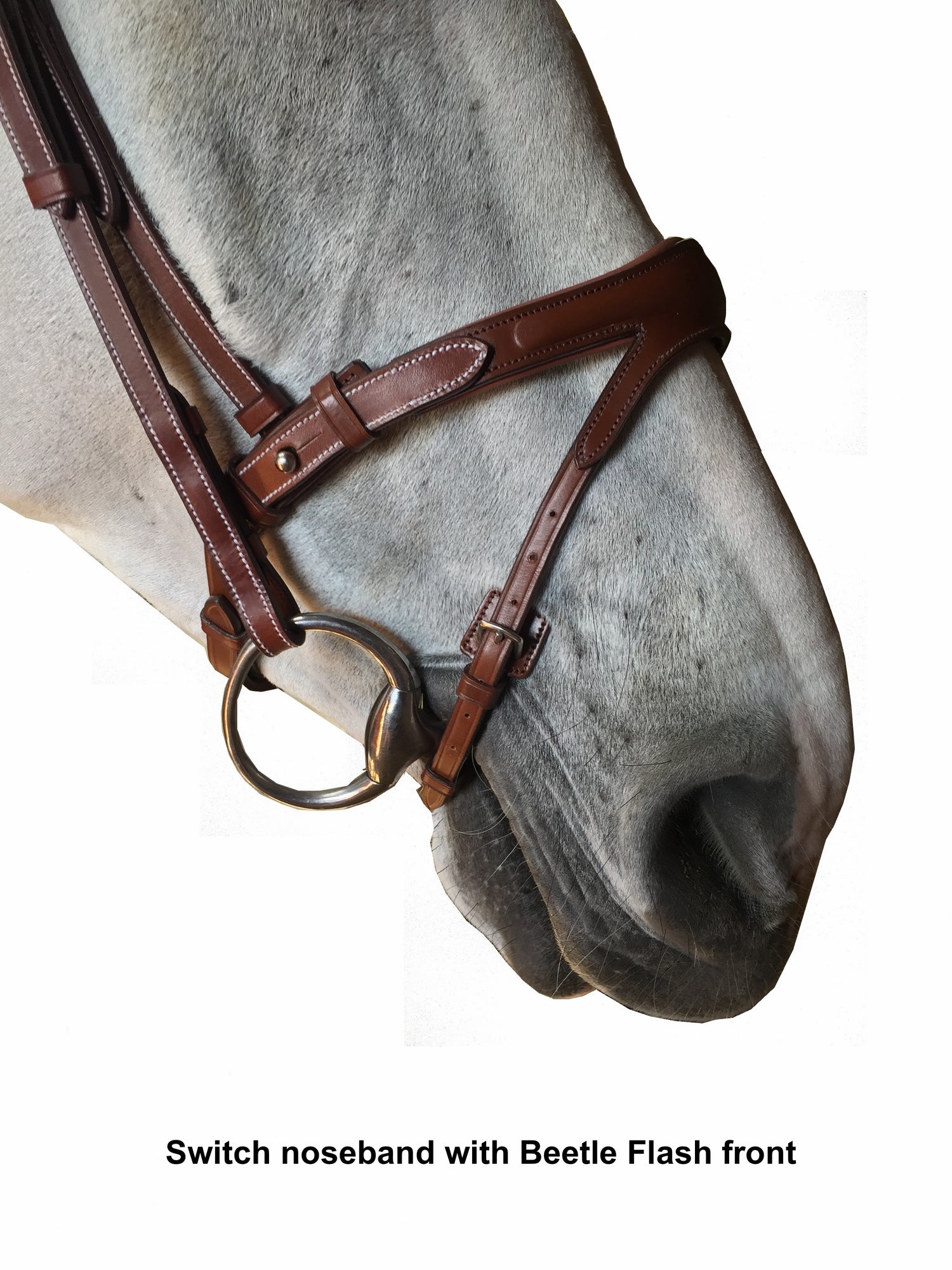 Silver Crown "Switch" noseband with "Beetle" flash cavesson