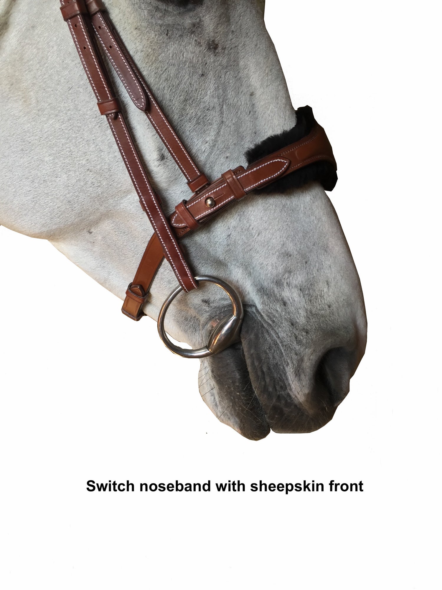 Silver Crown "Switch" noseband with patent leather cavesson